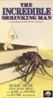 cover The Incredible Shrinking Man