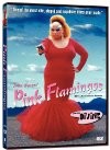 cover Pink Flamingos