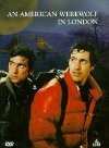 cover An American Werewolf in London