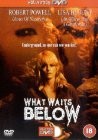 cover What Waits Below
