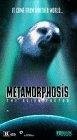 cover Metamorphosis