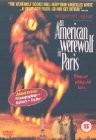 cover An American Werewolf in Paris