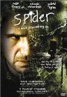 cover Spider