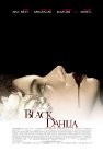 cover The Black Dahlia