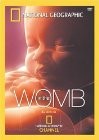 cover Life Before Birth