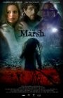 cover The Marsh