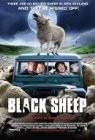 cover Black Sheep