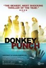 cover Donkey Punch