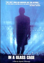 cover In a Glass Cage