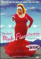 cover Pink Flamingos