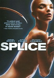 cover Splice